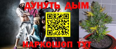дмт Ставрополь