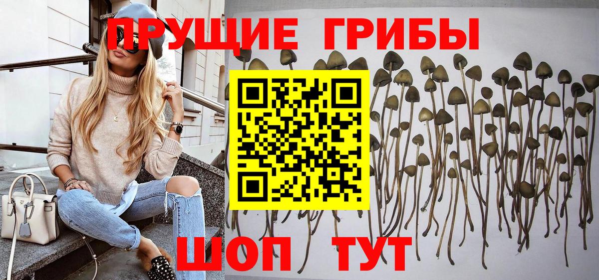Галлюциногенные грибы GOLDEN TEACHER  Вход с VPN  Нижнекамск 
